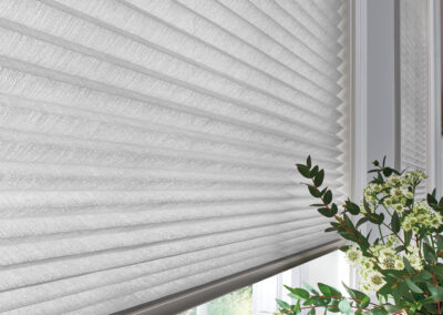 Honeycomb Shade Close Up Pleated