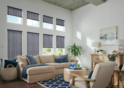 Pleated Shade Windows