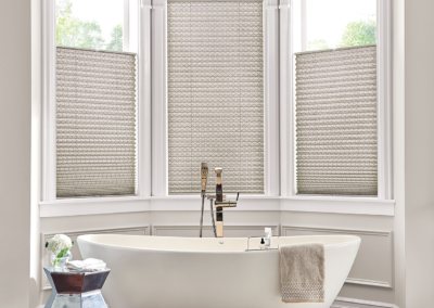 Top Down Pleated Shades