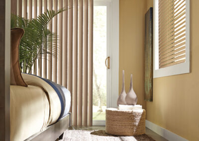 Vertical Blind Door