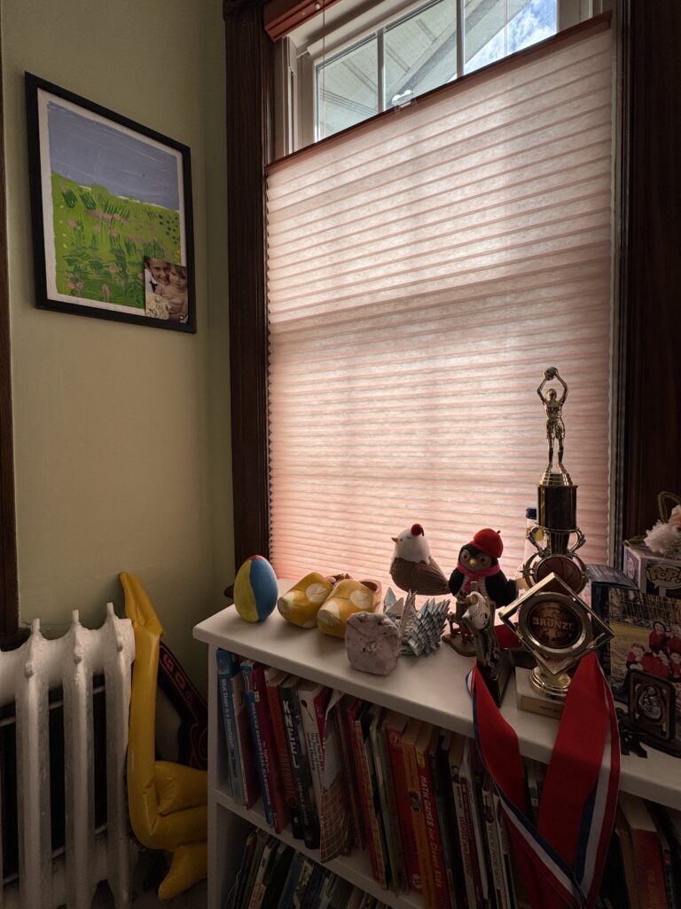 honeycomb shade haddonfield