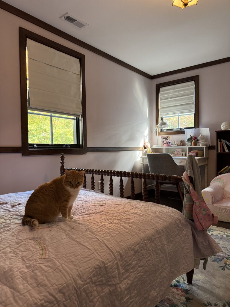 moorestown roman shade